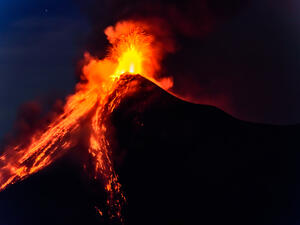 (Shutterstock/ File Photo)