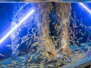 (Shutterstock/ File Photo)