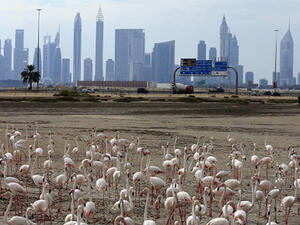 Dubai is hosting the One Million Arab Coders programme. (AFP)