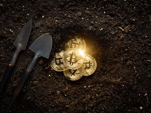 In the study, researchers at University of Hawaii at Manoa examined how the rapid increase in the use of cryptocurrency like bitcoin would harm the climate. (Shutterstock)