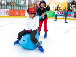 حلبة دبي للتزلج