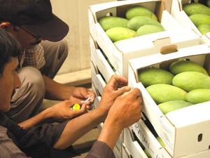 Imported goods from parties that have free trade agreements with Egypt such as the EU, the COMESA African grouping, the Arab region and Turkey would not by affected by the new decision.