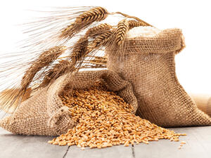 If Egypt's local wheat procurement numbers were misrepresented, it may have to spend more on foreign wheat purchases to meet local demand. (Shutterstock)