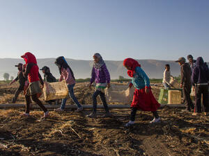 The report outlines the dynamics that force children to work instead of attend school. (ILO/Tabitha Ross)