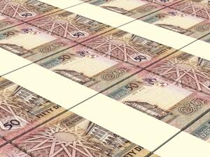 The underwriting applications for the bonds reached around $4 billion, or 400 per cent of the issuance value.(Shutterstock)