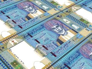 Fitch said that the government is planning to meet two-thirds of its financing need through external debt issuance, and the remainder through reserve draw-downs. (File photo)