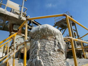 More than 90 per cent of APC's products are exported to more than 30 countries, spanning Africa, Asia, Europe, and the Middle East. (File photo)