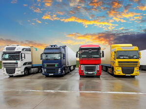 The transport committee chairman claims the sector is rejected by Saudis because of the difficulty of the work. (Shutterstock)