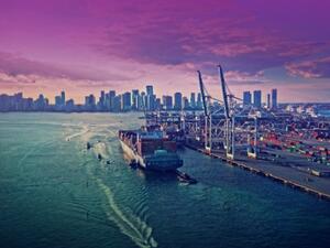 The total number of multinational companies that signed agreements in Al Mazunah Free Zone exceeds 75. (Al Mazunah)