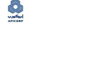 Arab Petroleum Investments Corporation 
