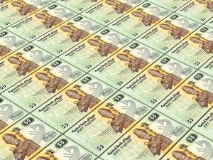 بدأت مصر في الإعداد لموازنة 2015-2016 كان سعر الدولار في فبراير شباط 2015 نحو 7.63 جنيه