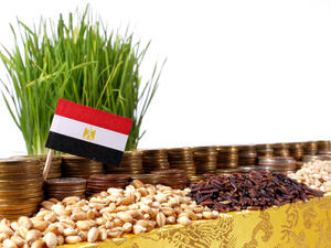 Urban consumer inflation hit an eight-year high of 19.4 percent in November, when Egypt abandoned its currency peg of 8.8 to the dollar.  (Shutterstock) 