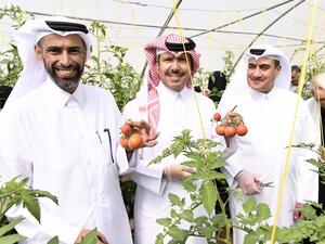 الدكتور جاويد شيخ عميد وايل كورنيل للطب – قطر والسيدة نسرين الرفاعي الرئيس التنفيذي للاتصال في وايل كورنيل للطب – قطر يستقبلان كبار الشخصيات من الهيئات الشريكة لحملة "صحتك أولاً"