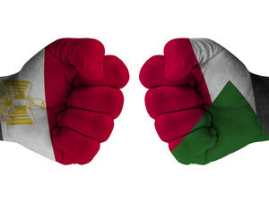 State-owned South Valley Egyptian Petroleum Holding Company has invited bids for ten oil and gas exploration blocks in what it said were Egyptian territorial waters in the Red Sea. (Shutterstock)