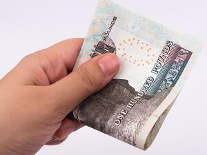 The Egyptian pound strengthened on Sunday to its highest in over two years. (Shutterstock)