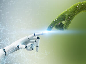 With the help of artificial intelligence, farming processes can be optimized and transformed to become safer for both Earth and human life. (Shutterstock)
