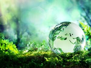 التمويل الأخضر يقدم فوائد زيادة رأس المال بتكلفة أقل