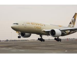 Abu Dhabi partnership sees thousands of Houbara bustards transported in last three years.