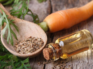 يستخرج زيت الجزر من ثمار الجزر المجففة