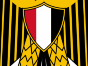 الجهاز المركزي للتعبئة العامة والإحصاء  الجهاز المركزي للتعبئة العامة والإحصاء