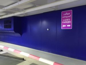 Pink Parking Bays for Ladies (Twitter)
