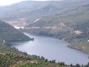 King Talal's Dam fulfilled for the first time since 40 years. (Twitter)