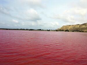 Lipar, a small lake which usually turns pink (Twitter)
