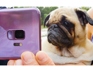 تتيح ميزة التصوير بالحركة البطيئة جداً Galaxy S9 و Galaxy S9+للمستخدمين تصوير مقاطع الفيديو بالحركة البطيئة جداً بنحو 960 إطاراً في الثانية الواحدة.