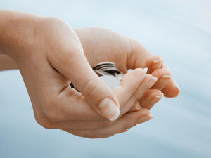 برج الجوزاء من أكثر الأبراج ميلاً إلى فعل الخير والمشاركة في الأعمال التطوعية

