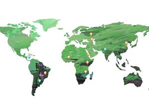 أشار مدير مكتب غرفة دبي إلى وجود نماذج ناجحة لشركات إماراتية حققت نجاحات بارزة في قطاع الخدمات اللوجيستية وأبرزها موانىء دبي العالمية وجافزا وطيران الإمارات.