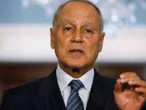 أحمد أبو الغيط