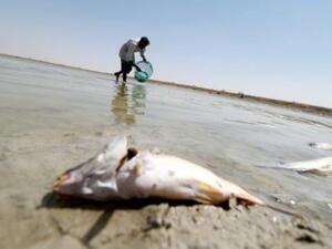 70 ألف حالة تسمم في البصرة جراء تلوث المياه