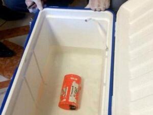 المحققون ينجحون في استخلاص معلومات من مسجل بيانات الطائرة المصرية
