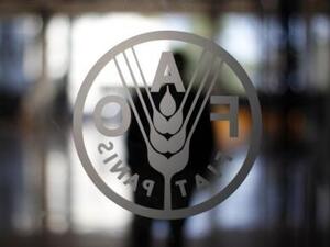 شعار برنامج الغذاء العالمي في روما
