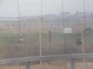 صورة ماخوذة من التسجيل