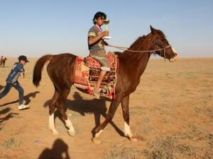 سباق للخيول العربية في شمال سوريا رغم الحرب

