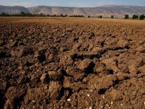 حقل قاحل في سهل الحولة
