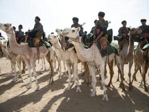 هجانة في نيما جنوب شرق موريتانيا
