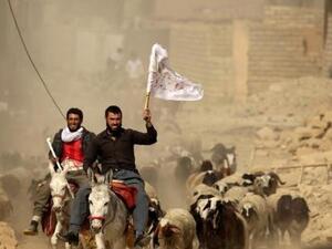 رجلان نازحان من قرية بزواية يلوح احدهما براية بيضاء ومعهما ماشيتهما عند نقطة تفتيش للقوات الخاصة شرق الموصل

