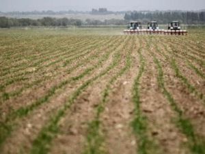 مزارعون في حقل في قازاخستان
