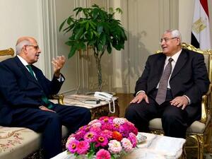 A handout picture released by the Egyptian Presidency shows Egypt's interim president Adly Mansour meeting with opposition National Salvation Front leader Mohamed El Baradei (AFP)