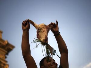 An Egyptian opposition protester holds up the head of a sheep as tens of thousands gather outside the Presidential Palace calling for the ouster of Egyptian President Mohammed Morsi (Gianluigi Guercia / AFP)