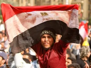 المصريون ثاروا على الظلم والفساد
