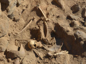 The newly discovered skeleton is thought to belong to a young Roman warrior who died in battle (Ahram image)