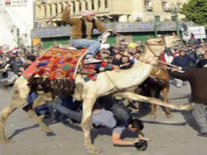شفيق، واللواء حسن الرويني، تغيبا عن المثول أمام محكمة جنايات القاهرة