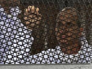 صحافي قناة الجزيرة الاسترالي بيتر غرست خلال محاكمته 5 مارس 2014
