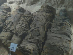 اكتشاف أول مقبرة للأحياء في تاريخ مصر الوسطى تضم 28 مومياء