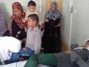 ثعبان يضع سمه في موائد الطعام المعدة لضيوف عرس وسط مصر