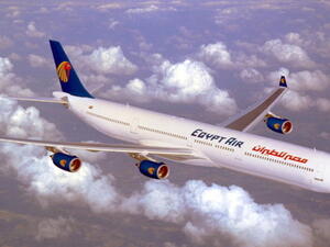 EgyptAir had denied allegation says that there were a snake on one of its flights heading from Cairo to the Arab gulf state of Kuwait. (AFP/ File Photo)