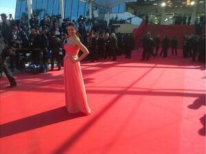 أناقة السجادة الحمراء